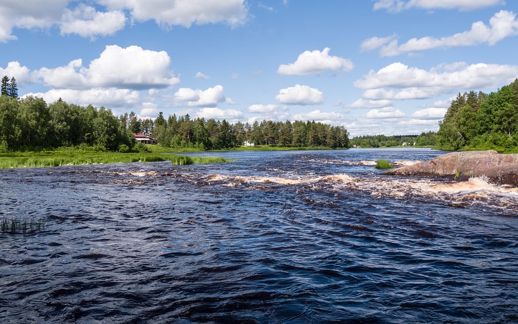 kuvituskuva, aurinkoinen näkymä virtaavaan koskeen